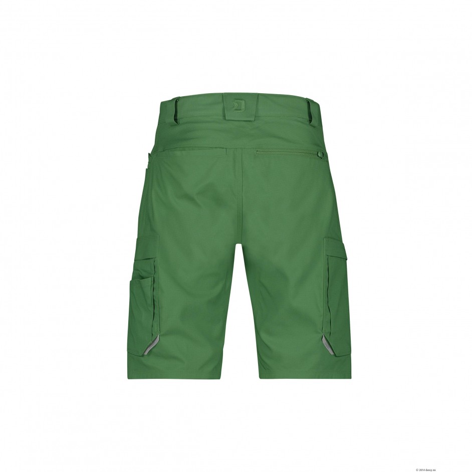 Dassy Zion 250109 Werkshort