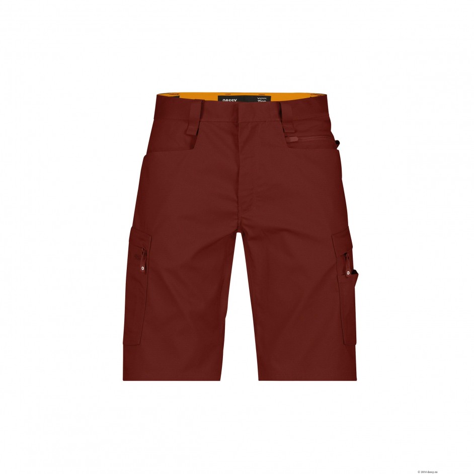 Dassy Zion 250109 Werkshort