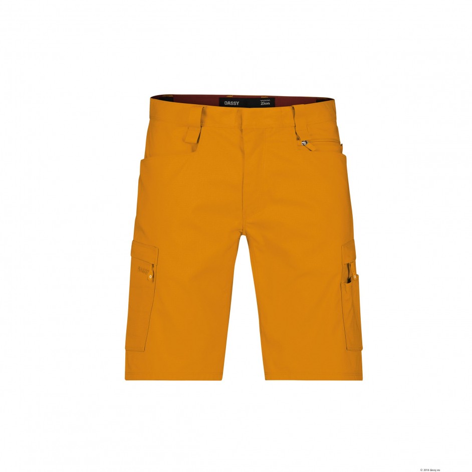 Dassy Zion 250109 Werkshort