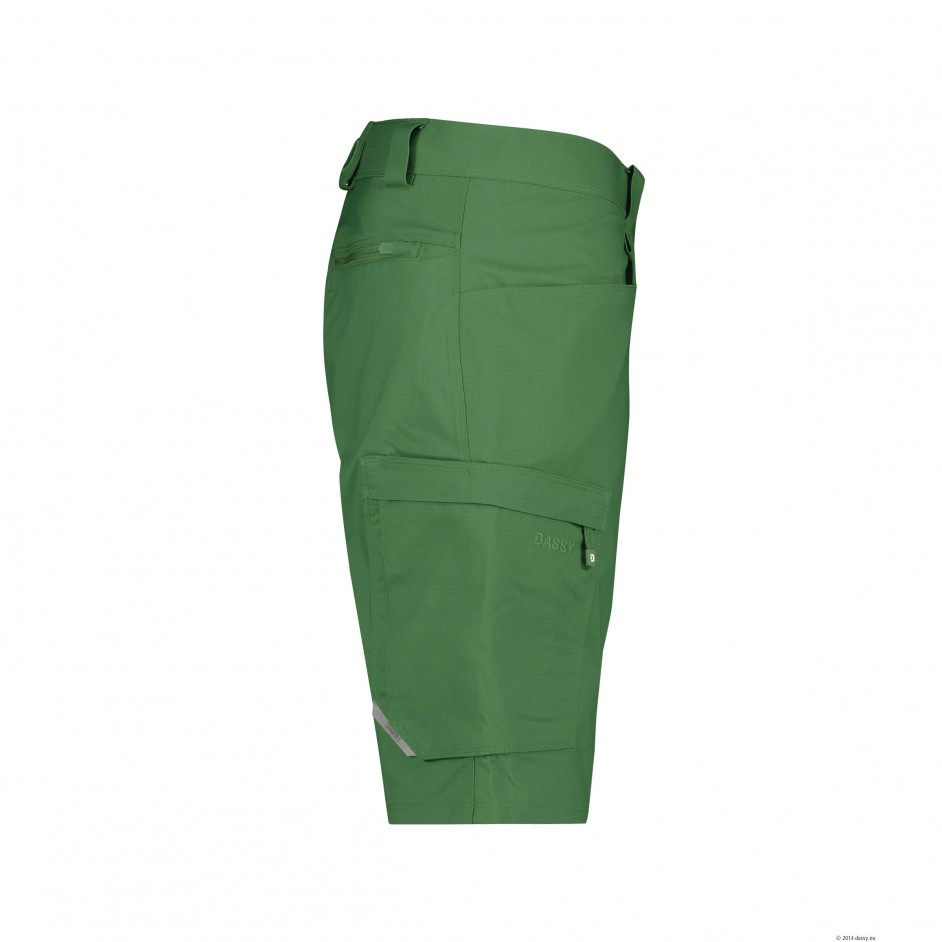 Dassy Zion 250109 Werkshort